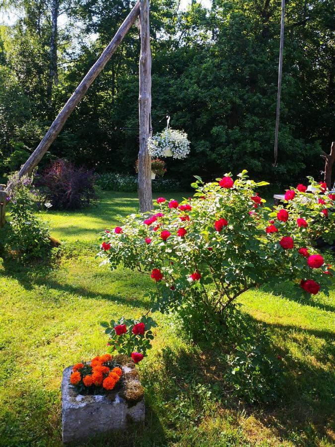 Kotka Farm Hotel Saarekula Bagian luar foto