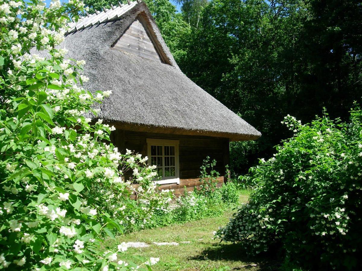 Kotka Farm Hotel Saarekula Bagian luar foto